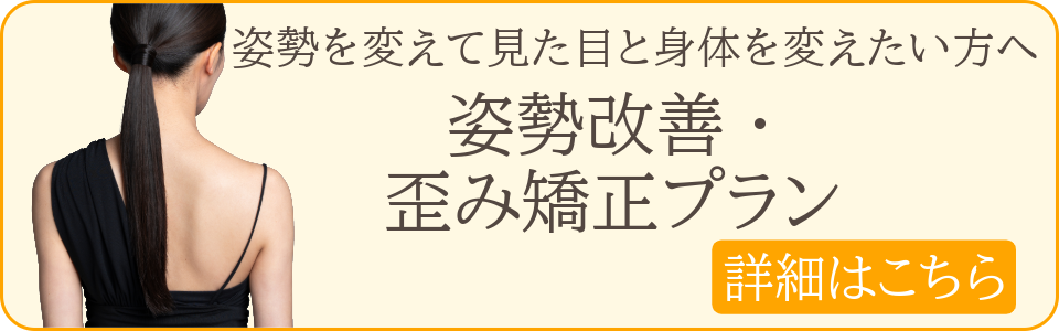姿勢を変えて見た目と身体を変えたい方は姿勢改善・歪み矯正プランをご覧ください。